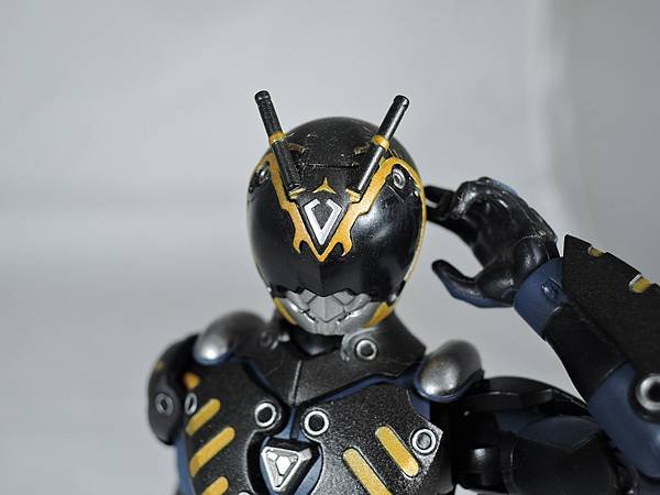 SHF 仮面ライダータイガ&amp;オルタナティブ (74).JPG