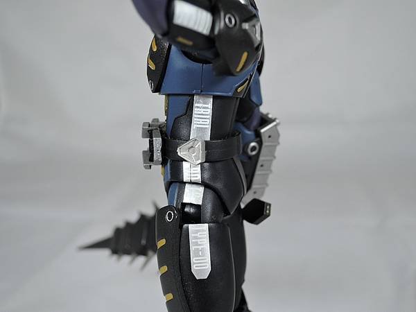 SHF 仮面ライダータイガ&amp;オルタナティブ (77).JPG