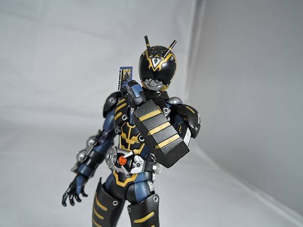 SHF 仮面ライダータイガ&amp;オルタナティブ (82).JPG