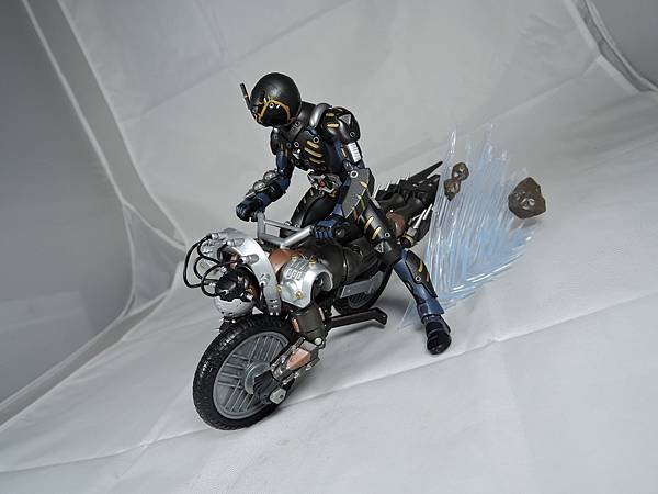 SHF 仮面ライダータイガ&amp;オルタナティブ (99).JPG