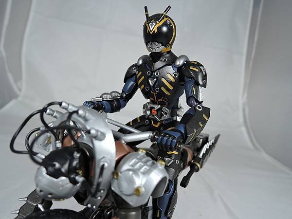 SHF 仮面ライダータイガ&amp;オルタナティブ (97).JPG