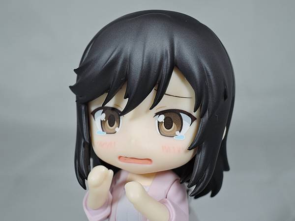 ねんどろいど 一条蛍 (26).JPG