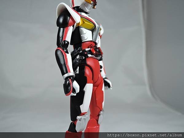 SHF 仮面ライダー電王 ライナー%26;クライマックスフォーム (12).JPG