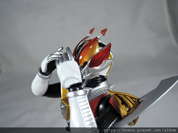 SHF 仮面ライダー電王 ライナー%26;クライマックスフォーム (55).JPG