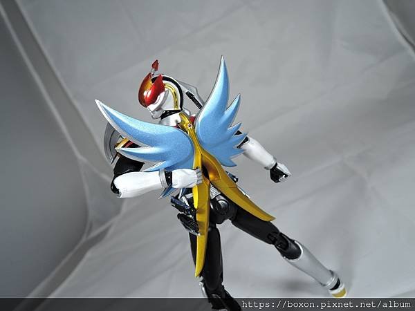 SHF 仮面ライダー電王 ライナー%26;クライマックスフォーム (78).JPG