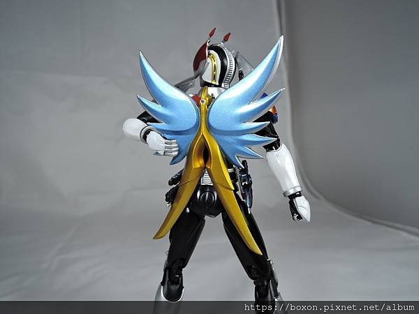 SHF 仮面ライダー電王 ライナー%26;クライマックスフォーム (79).JPG