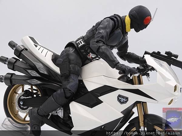 PhotoCap_SHF 大量発生型相変異バッタオーグ  (11).jpg