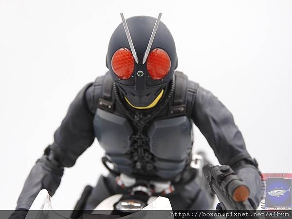 PhotoCap_SHF 大量発生型相変異バッタオーグ  (10).jpg