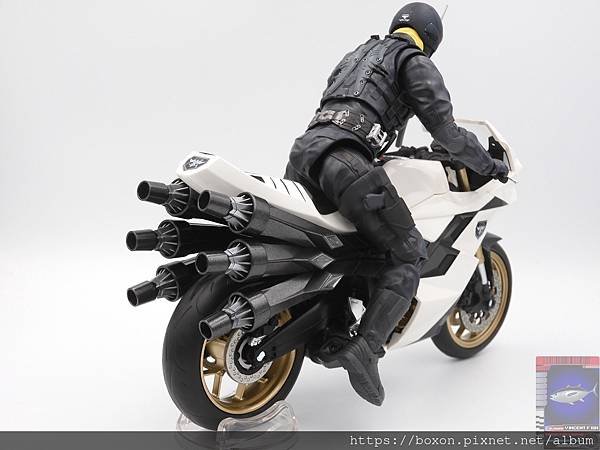 PhotoCap_SHF 大量発生型相変異バッタオーグ  (12).jpg