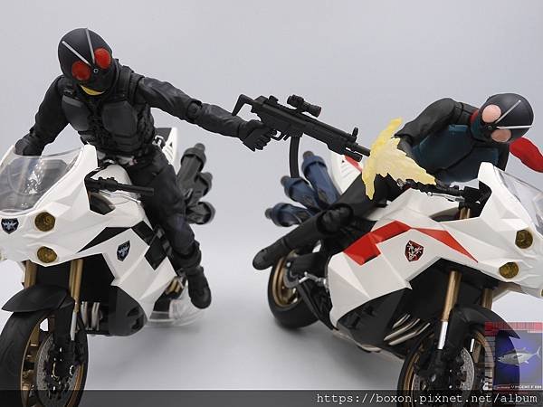 PhotoCap_SHF 大量発生型相変異バッタオーグ  (16).jpg