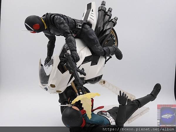 PhotoCap_SHF 大量発生型相変異バッタオーグ  (23).jpg