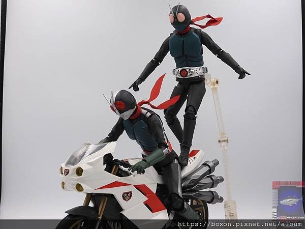 PhotoCap_SHF 大量発生型相変異バッタオーグ  (29).jpg