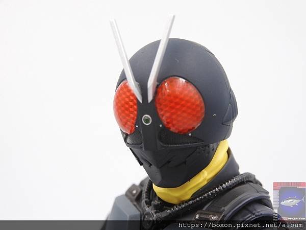 PhotoCap_SHF 大量発生型相変異バッタオーグ  (35).jpg