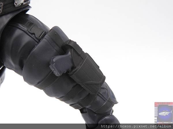 PhotoCap_SHF 大量発生型相変異バッタオーグ  (42).jpg