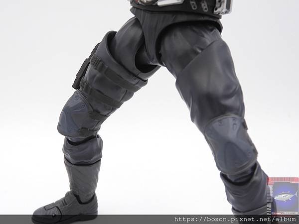 PhotoCap_SHF 大量発生型相変異バッタオーグ  (44).jpg