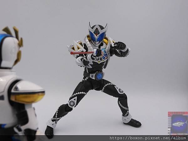 PhotoCap_SHF 真骨彫 仮面ライダーサガ (38).jpg