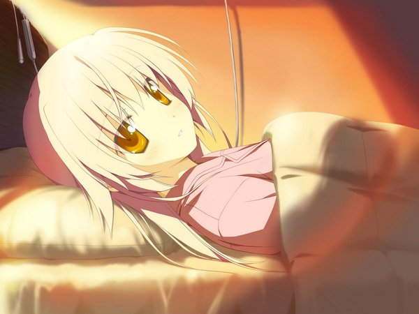 619.jpg