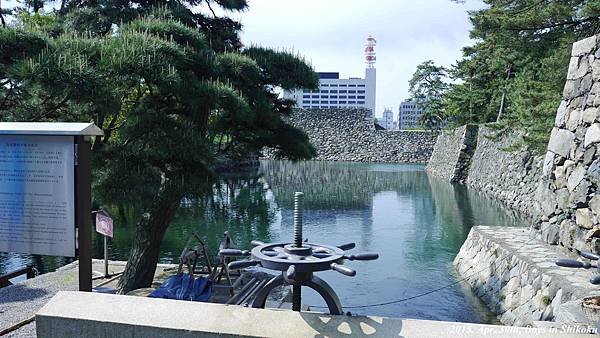 P1060892.jpg