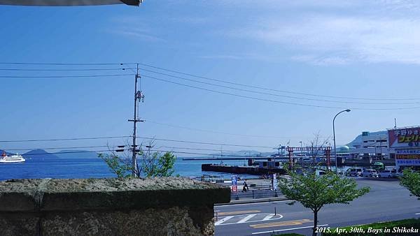 P1060904.jpg