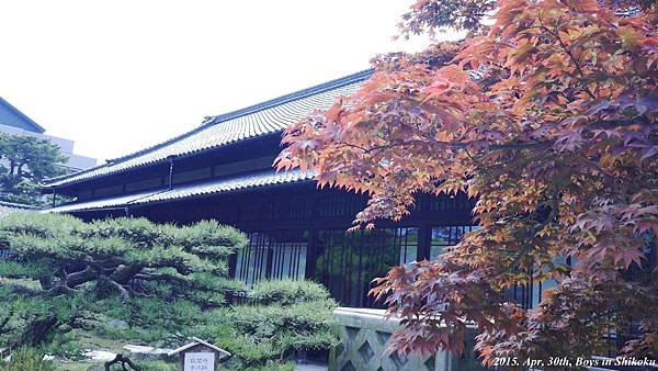 P1070007.jpg