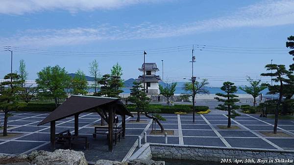 P1070019.jpg