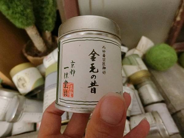 20170805龍磐+果貿+草Dr_170808_0472.jpg