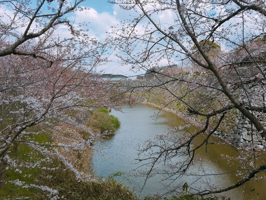 34020FEA-582D-489B-9DA1-1F7218723250.jpeg