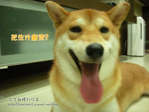 DSCN3994.jpg