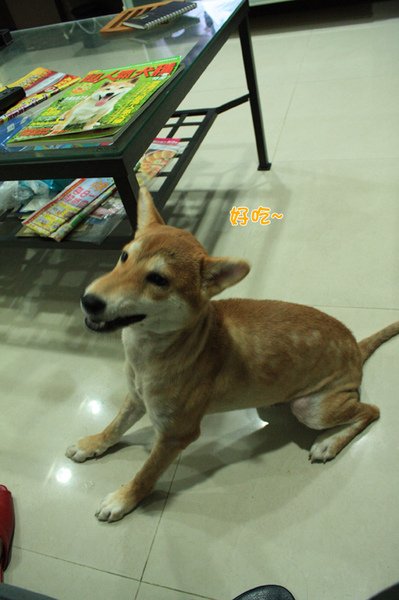04.jpg