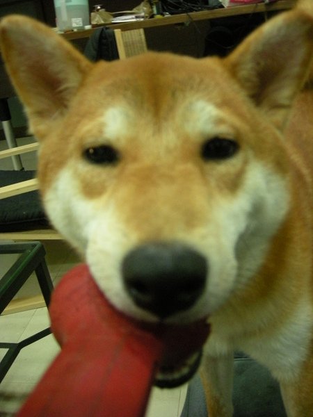 07.jpg