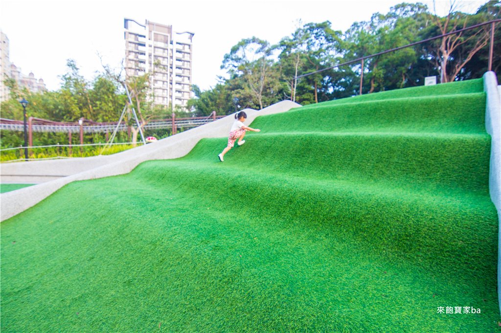 桃園特色公園 大有梯田生態公園 (48).jpg