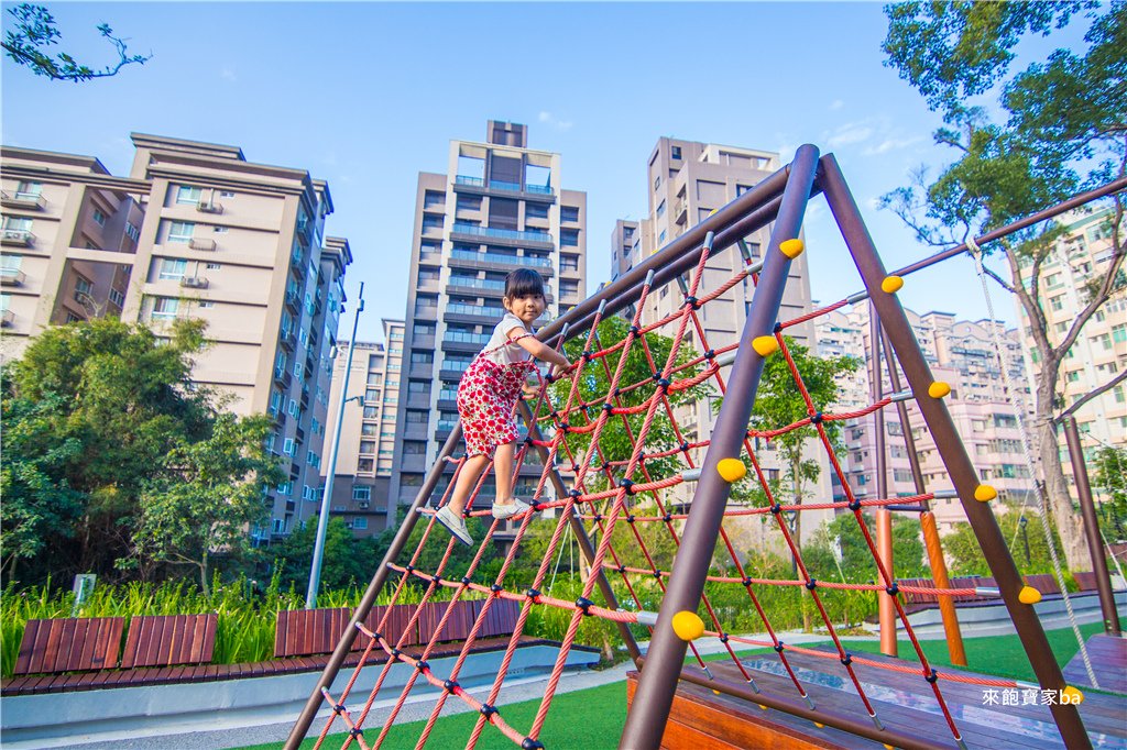 桃園特色公園 大有梯田生態公園 (87).jpg