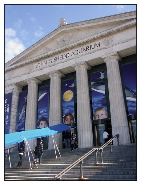 SHEDD水族館