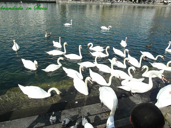 SAM_2581