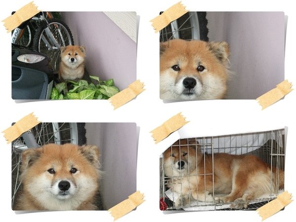 blog09.jpg