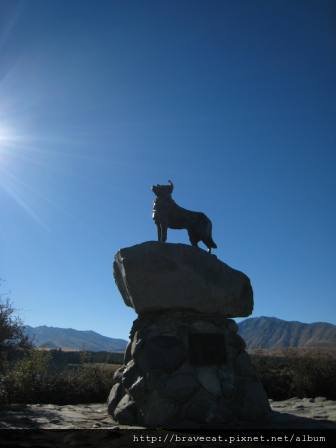 IMG_0889 Lake Tecapo-Dog Statue.JPG