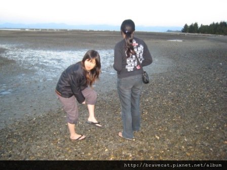 IMG_2484 Motueka Beach-捲起褲腳撿Mussel囉.JPG