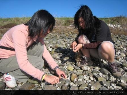 IMG_2892 Motueka Port - Christo &amp; Kelly正努力地要把蚵仔打開.JPG