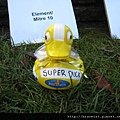 IMG_1709 No. 49 Element Mitre 10.JPG