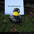 IMG_1714 No. 55 David Reid Homes.JPG