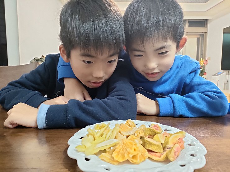 巧安果物小農手作低溫烘焙│真材實料的青芒果乾、紅心芭樂乾、微