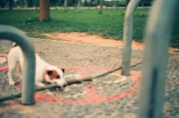lomo徵件1