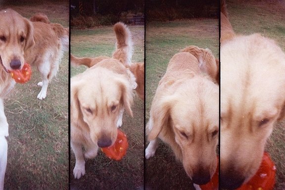 lomo徵件3