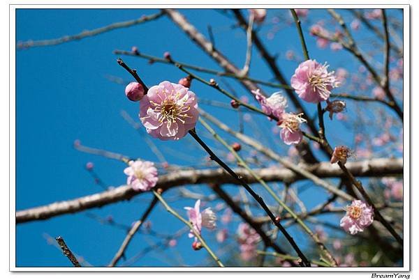 nEO_IMG_P1070277