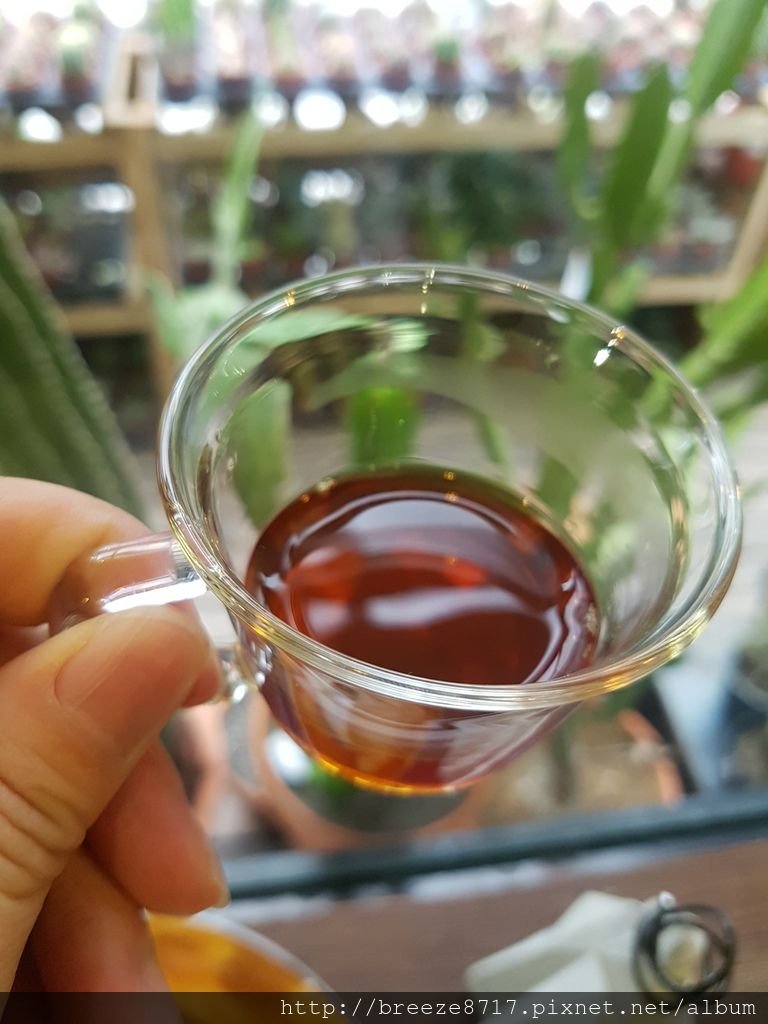 20160827_120842.jpg