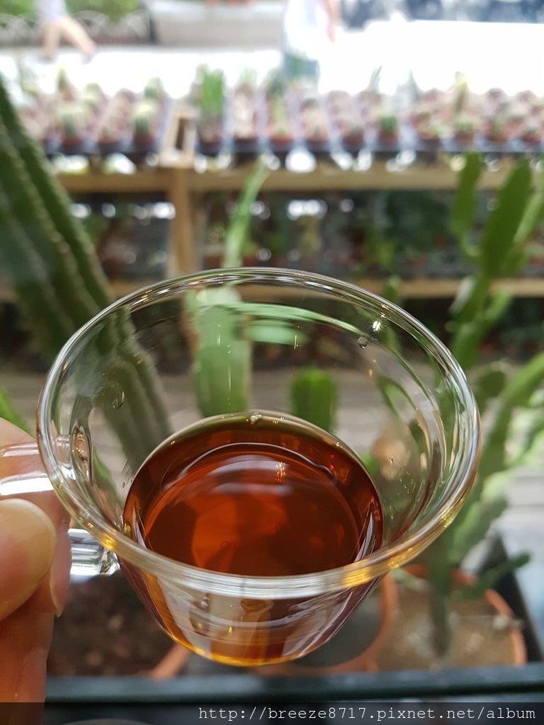 20160827_120932.jpg