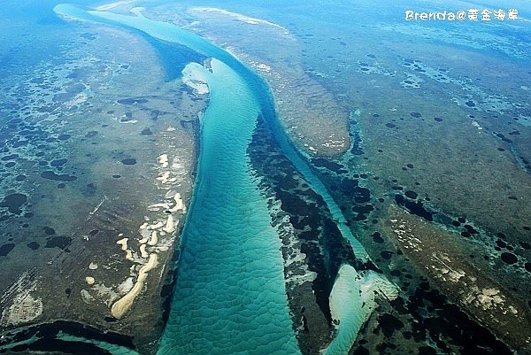 Lady Elliot Island