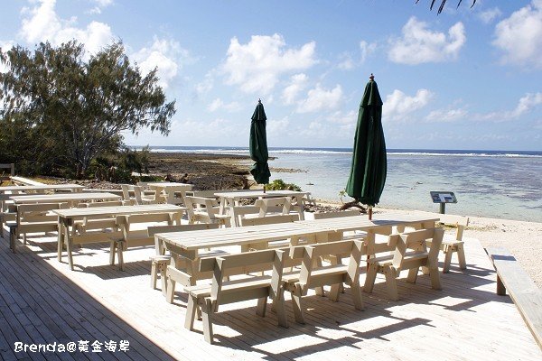 Lady Elliot Island