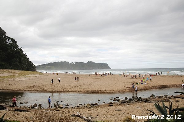 Hot Water Beach