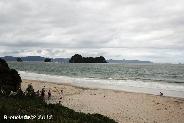 Hahei Beach